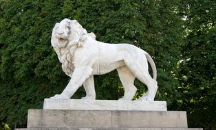 Beautiful, white lion statue in Luxembourg Gardens, Paris, France