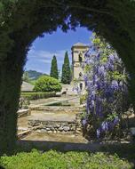 Castle Building violet flowers