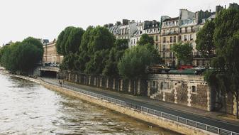 Beautiful Seine river with the green trees and buildings on the shore in Paris, France