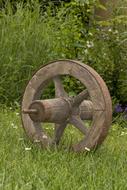 Old Wheel Cart and green grass