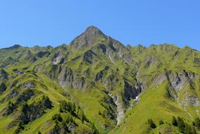 Nature Mountain Swiss green
