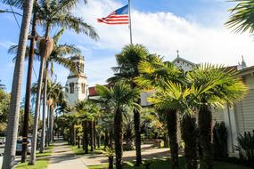 Santa Barbara California palms