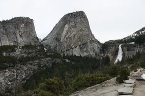 Yosemite geen Forest