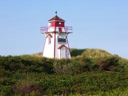 Lighthouse red roof on the green coast