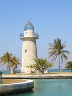 Lighthouse Ocean and palms