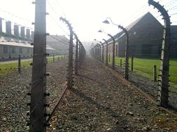 Concentration Camp Holocaust auschwitz