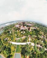 trees and roofs of buildings from a bird's eye view