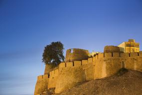 Castle Fortress and tree