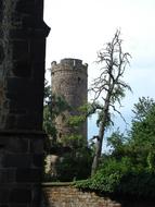 medieval castle towers among the trees