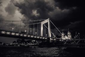 monochrome photo of Bridge in budapest City