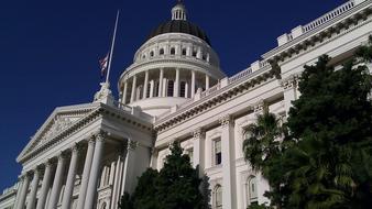 Capital Building Sacramento and tree