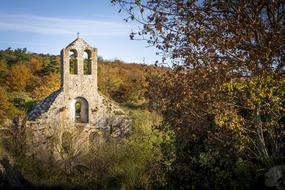 Church Ruin Benedictine and forest