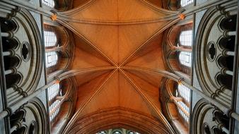 vaulted ceiling in the old cathedral