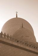 Abu Dhabi Mosque sepia
