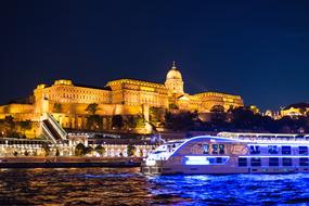 Buda Castle Danube River