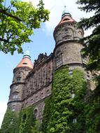 green plants on the castle walls