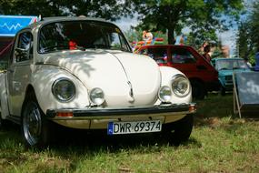 Beetle Oldtimer Retro Car