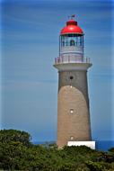 Colorful lighthouse, near the green plants, on the shore