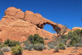 Arch Natural Elephant stone