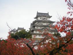 Himeji Castle red trees