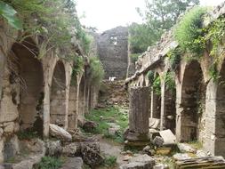 Ruins and green bushes