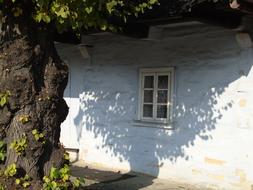 Architecture and tree in Lanckorona