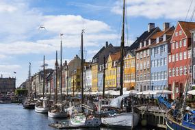 colorful houses on the waterfront in denmark