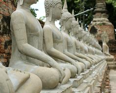 raw of Buddha statues in Bangkok