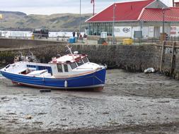 blue Boat Scottish