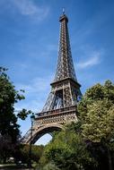 Eiffel Tower Paris Monument and green bushes