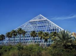 pyramid among palms at Galveston