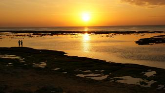 beach on a tropical island at dusk