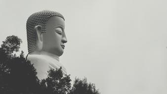 Nature statue black and white