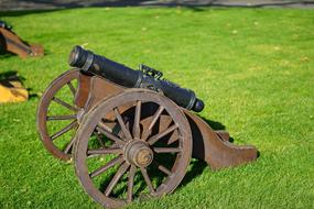 Cannon Signal Old and green grass