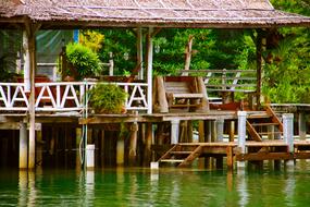 wooden pier on green water
