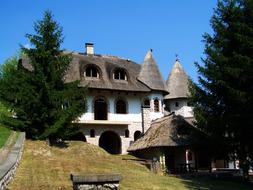 Thatched House and trees