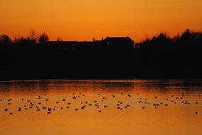 romantic orange sunset over lake in the evening