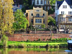 cozy buildings near the river