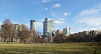Boston Massachusetts garden