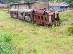 old train green grass