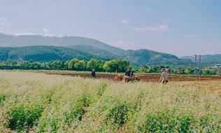 Landscape of field and hills