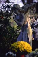 grave statue with wings