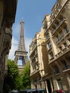 Beautiful cityscape with the Eiffel Tower and green trees in Paris, France