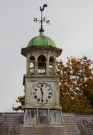 Weather Vane on Clock Tower
