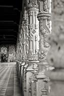 black and white photo of columns in the palace close-up