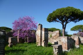 Ostia Antica Ruins in Italy