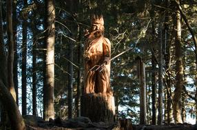 statue of the wise king in the forest