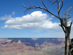 landscape of Grand Canyon Desert in Arizona