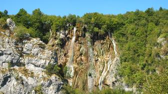 forest over Plivicer Lakes