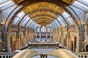 Beautiful and colorful interior of the Natural History Museum in London, England